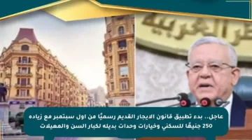 عاجل.. بدء تطبيق قانون الإيجار القديم رسميًا من أول سبتمبر مع زيادة 250 جنيهًا للسكنى وخيارات وحدات بديلة لكبار السن والمعيلات